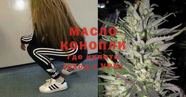 гидра Армянск