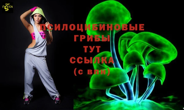 гидра Армянск